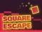 Square Escape