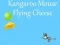 Kangaroo Mouse Flying Cheese