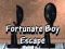 Игра Удачный побег мальчика онлайн
