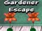 Игра Садовник побег онлайн