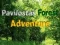 Игра Павилостасское лесное приключение онлайн