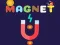 Magnet