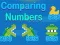 Comparing Numbers