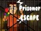 Prisoner Escape