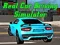 Real Car Driving Simulator