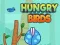 Hungry Birds