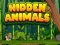 Hidden Animals