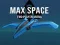 Max Space Two Player Arena