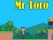Игра Мистер Торо онлайн