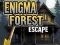 Игра Загадочный лесной побег онлайн