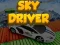Sky Driver