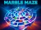 Marble Maze