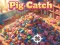 Pig Catch