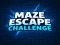 Maze Escape Challenge
