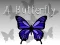 A Butterfly