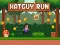 Hatguy Run