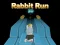 Rabbit Run 3D