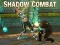 Shadow Combat