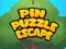 Pin Puzzle Escape