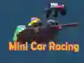 Mini Car Racing