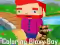 Coloring Bloxy Boy