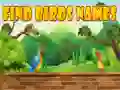 Игра Найти имена птиц онлайн Игра Найти имена птиц онлайн