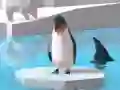 Penguins.io