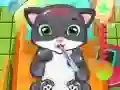Cat Doctor