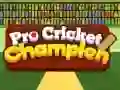 Игра Профессиональный чемпионат по крикету онлайн