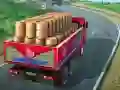 Indian Truck Driver Cargo Duty Delivery