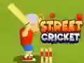 Игра Уличный крикет онлайн