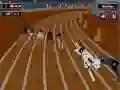 Crazyl Dog Racing Fever