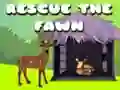 Rescue the fawn