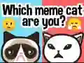 Игра Какой ты мем-кот? онлайн