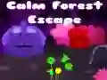 Calm Forest Escape