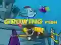 Игра Выращивание Рыбы онлайн Игра Выращивание Рыбы онлайн