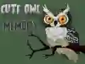 Cute Owl Memory
