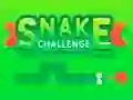 Snake Challenge