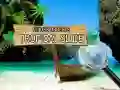 Игра Скрытые объекты: Тропический слайд онлайн
