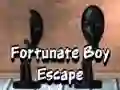 Игра Удачный побег мальчика онлайн