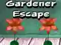 Игра Садовник побег онлайн