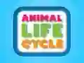 Игра Жизненный цикл животных онлайн
