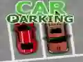 Car Parking