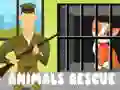 Animals Rescue