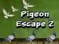 Pigeon Escape 2
