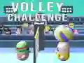 Игра Волейбольный вызов онлайн