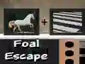 Игра Жеребенок побег онлайн