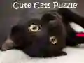 Игра Милые коты Пазл онлайн Игра Милые коты Пазл онлайн