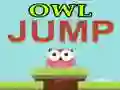 Игра Прыжки совы онлайн