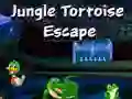 Игра Побег черепахи из джунглей онлайн